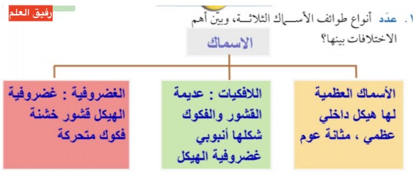 عدد أنواع طوائف الأسماك الثلاثة، وبيّن اهم الاختلافات بينها؟