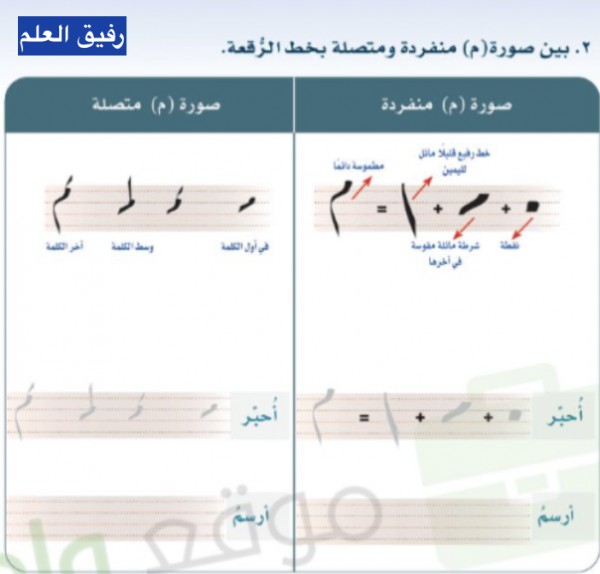 بين صورة (م) منفردة ومتصلة بخط الرقعة